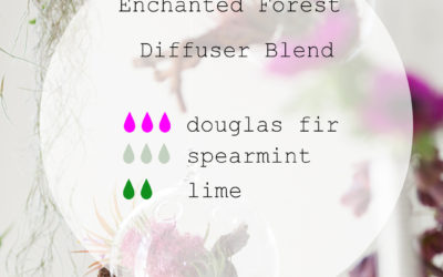 Enchanted Forest Diffuser Blend
