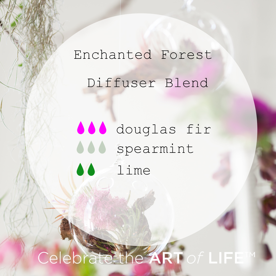 doTERRA diffuser blend douglas fir, spearmint, lime