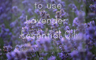 Top ten ways to use Lavender Essential Oil